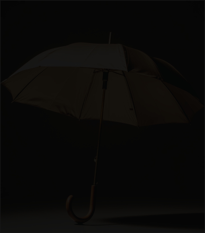 オリジナル傘Name